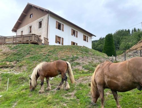 Bussang House | La Clé des Champs à Bussang - Gîte tout confort dans les Hautes Vosges