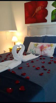 Downtown Buzios Hotel | La Coloniale