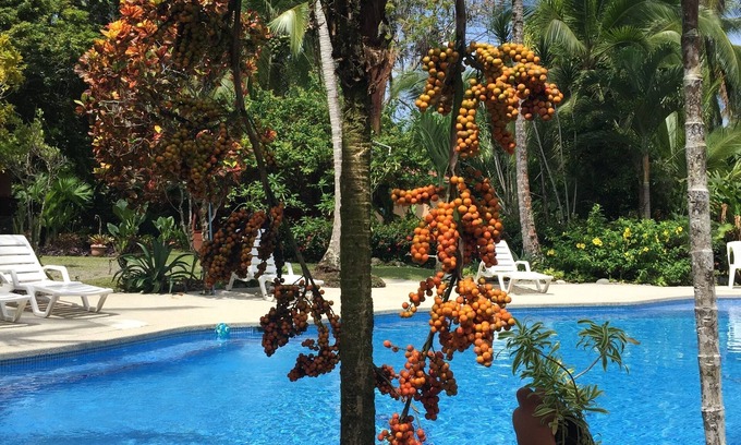 Cahuita Hotel | La Diosa Nature Lodge