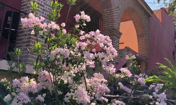 Xochitepec House | La Escondida, Alberca y Jardín