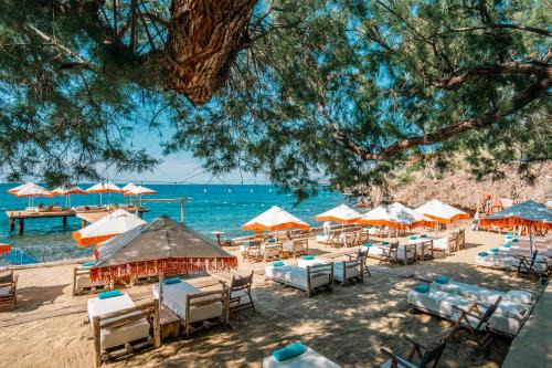 Yalikavak Hotel | La Local Beach House Yalıkavak