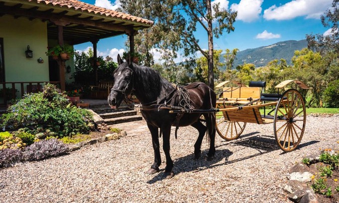 La Calera Villa | La Lomita