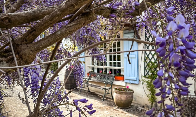 Saint-Augustin House | La Maison Dans la Brie