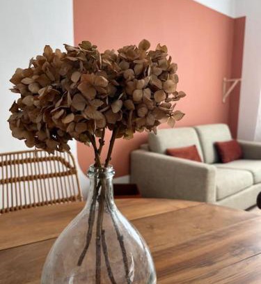 Carcassonne Apartment | La maison de Camille climatisation parking privé WIFI