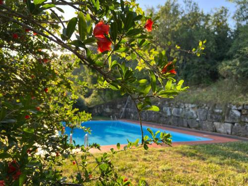 Brisighella Bed & Breakfast | La Melagrana