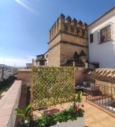 Cordoba Old City Apartment | La Muralla de San Fernando de Córdoba