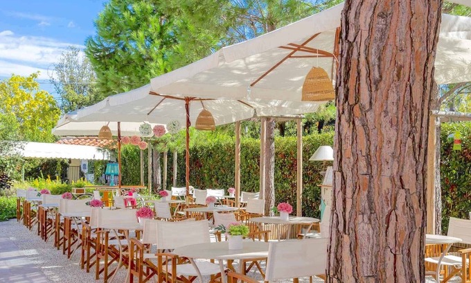 Forte dei Marmi Hotel | La Pineta Al Mare