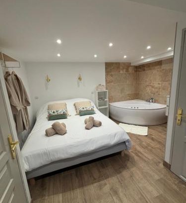 Epernay Apartment | La ptite suite de Julie avec balneo