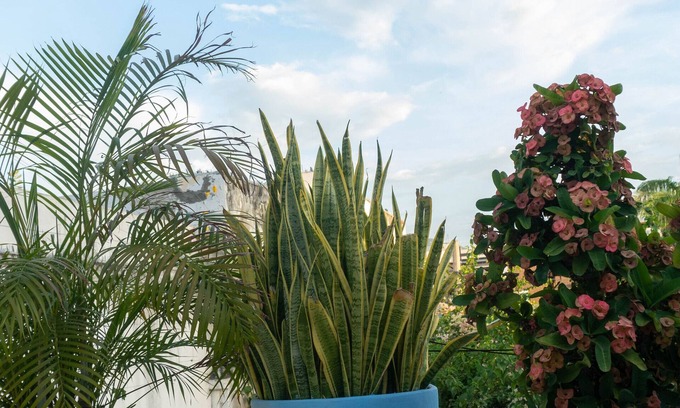 Barrio Centro Hotel | La Puerta Azul