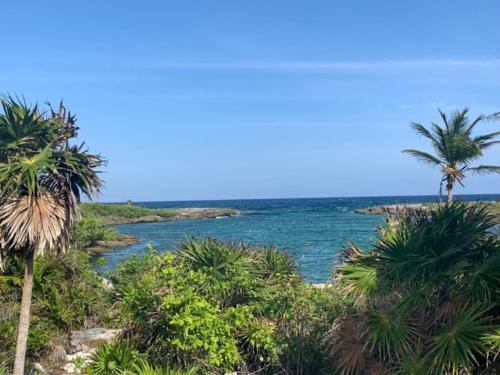 Akumal Apartment | La Selva Penthouse Gated Community