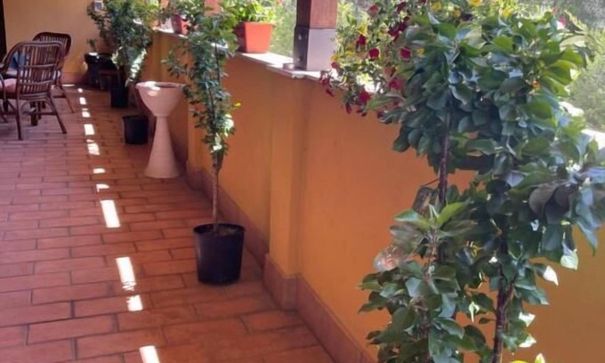 Santa Maria degli Angeli House | La terrazza dei ciliegi