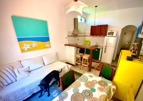 Miramar Apartment | La Vecindad del Sol Depto E