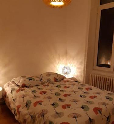Mont-Dore Apartment | La Villa des Thermes