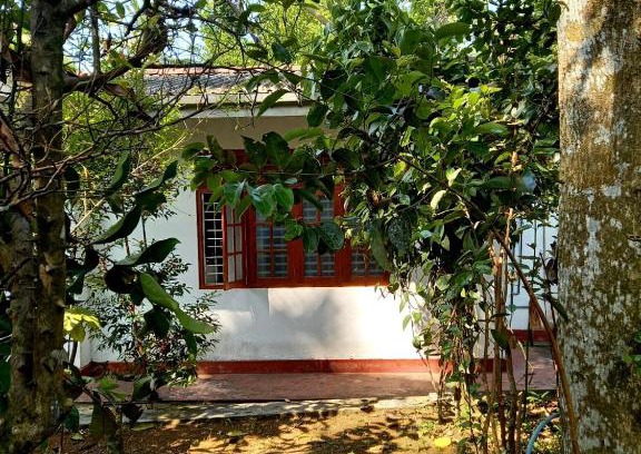 Patuwatha House | La Vivente Beach