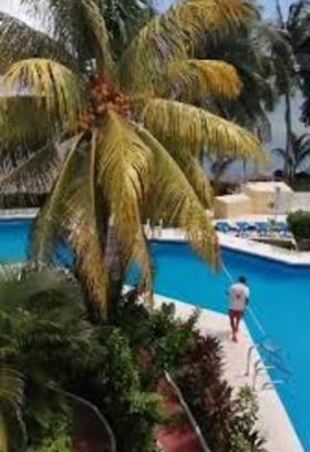 Punta Cancun Hotel | Lagoon room