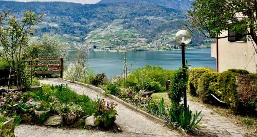 Ischia Apartment | Lake Apartment Ischia Green