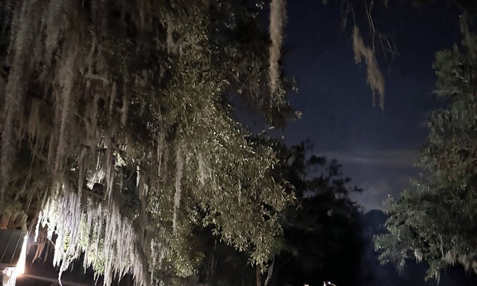 Johns Island House | Lake Front Cottage under the Oaks.