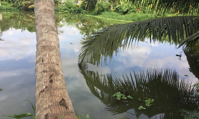 Peliyagoda Hotel | Lake Garden Villa - Kelaniya