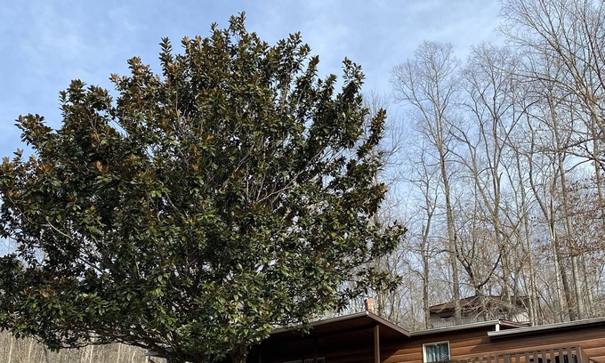 Speedwell House | Lake View Home