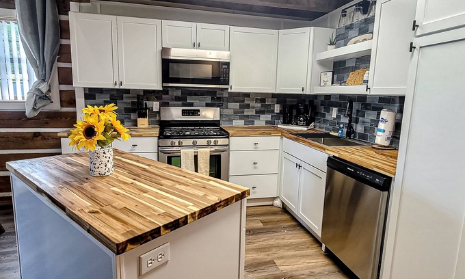 Dandridge Cabin | Lakefront cabin w/free attraction tickets, electric fireplace, & washer/dryer