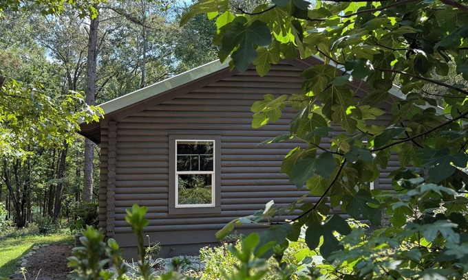 Townville Cabin | Lakefront Log Cabin + Wooded Paradise + Close to Clemson + 2 Kayaks