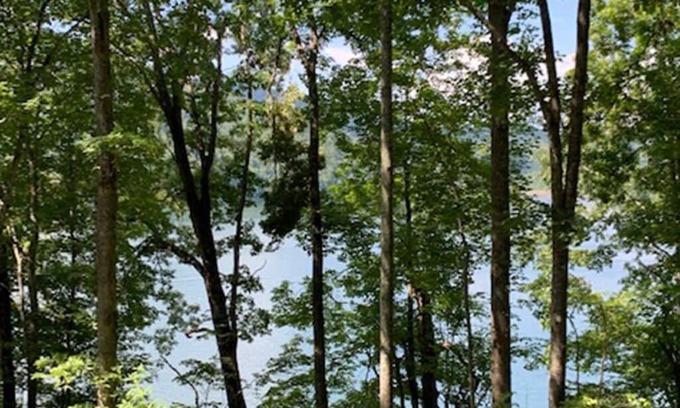 Topton House | Lakeside Mountain Oasis