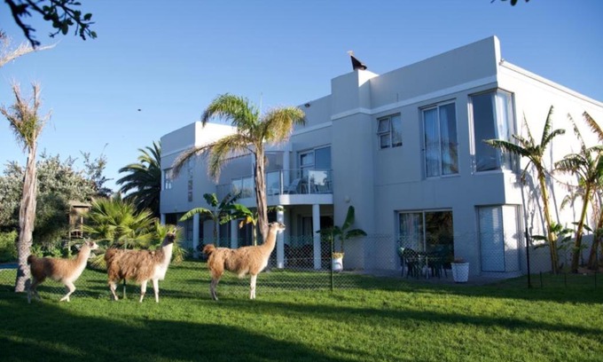 Sunset Beach Apartment | Lamabeach city farm