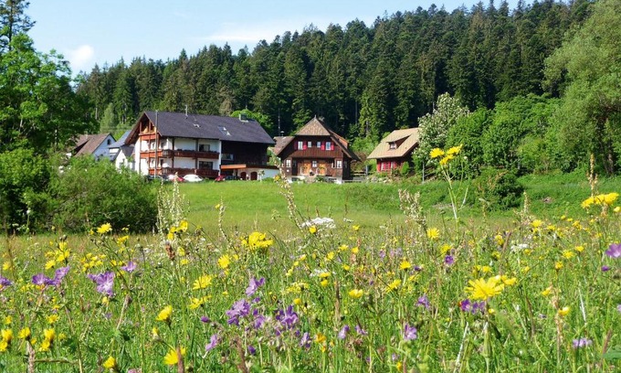 Lauterbad Apartment | Landhaus Anja