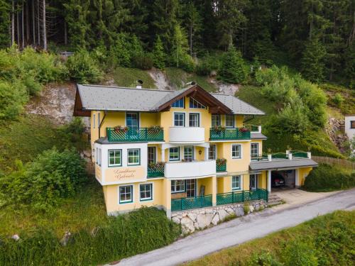 Filzmoos Apartment | Landhaus Gabriele