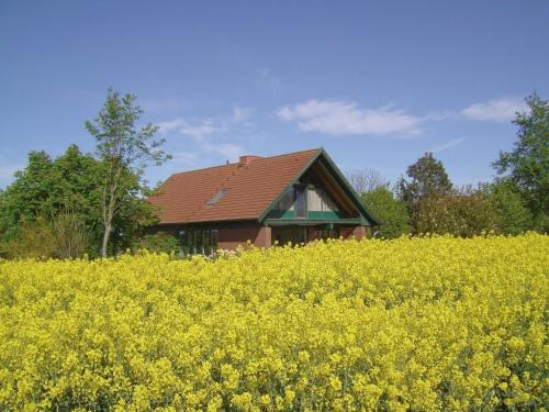 Holtsee Apartment | Landhaus mit Weitblick