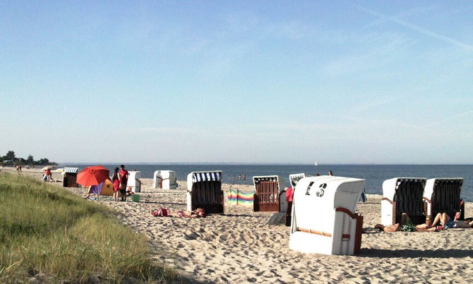 Dollerup Apartment | Landhaus Scholz - FeWo Buttjerhus with garden, 5 km to the beach