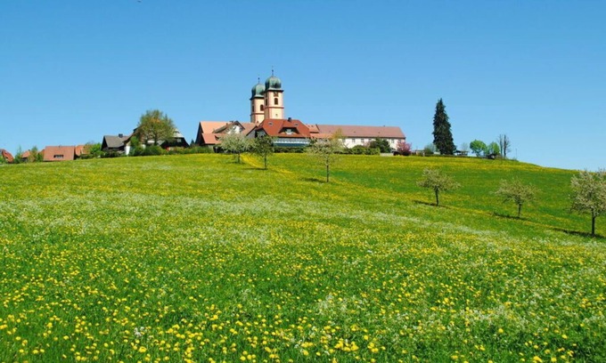 Sankt Maergen House | Landhuis Appartement Feldberg uitzicht