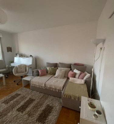 Grbavica Apartment | Lantana Camara apartment