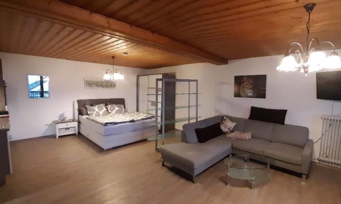 Frauenau Apartment | Large 1-room apartment with west-facing balcony and WiFi