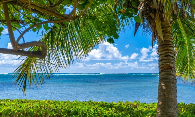 Eastern Honolulu House | Large Hawaiian Style Plantation property.