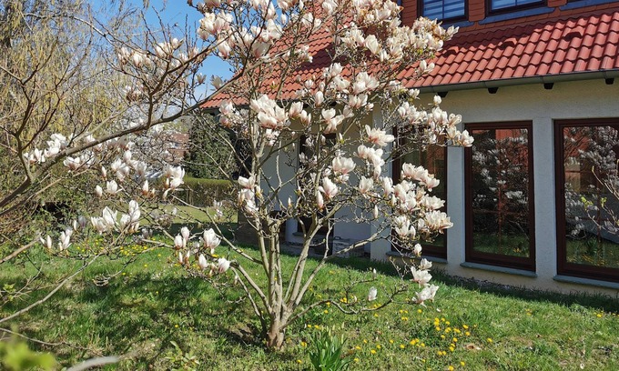 Neuenhagen bei Berlin House | Large house with 5 bedrooms, large garden, S-Bahn connection to Berlin