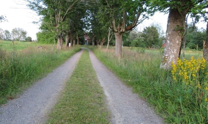 Lonashult House | Large Lake House with Boat at Lake Asnen 200m Fiber Internet 3 Bedrooms Pets OK