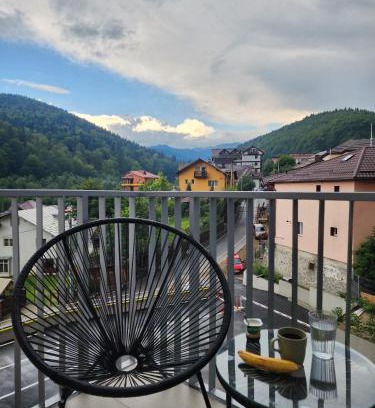 Sinaia Apartment | Large Studio - 4 Guests - Balcony - Free Parking