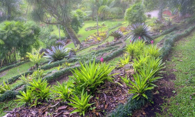 San Vito Hotel | Las Cruces Biological Station