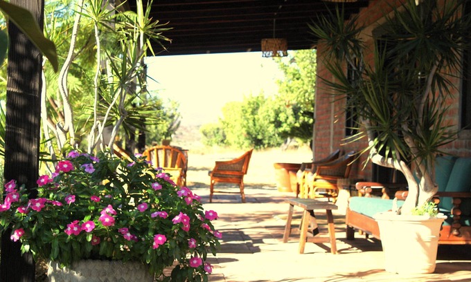 Valle de Guadalupe Cabin | Las Orquideas