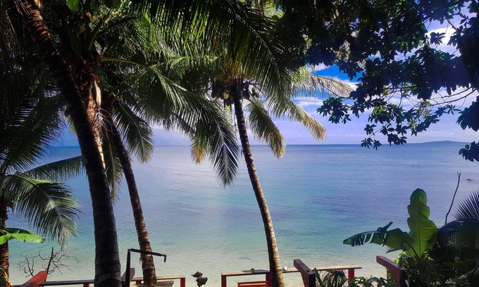 Little Corn Island Hotel | Las Palmeras Beachfront Hotel