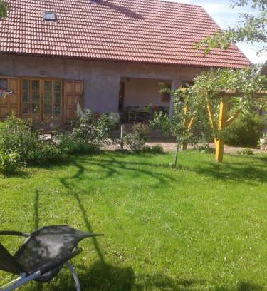 Municipality of Plaski House | Latin