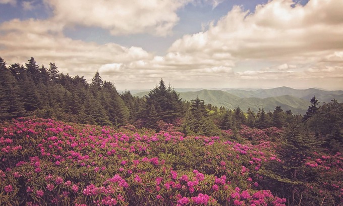 Bakersville Cottage | Laurel Creek Cottage -Creekside /Near Roan Mountain (rate includes cleaning fee)