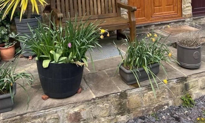 Grewelthorpe Cottage | Lavender Cottage Grewelthorpe Nr Masham Ripon