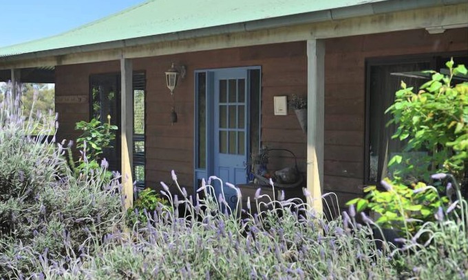 Badger Creek Other | Lavender Farm Yarra Valley