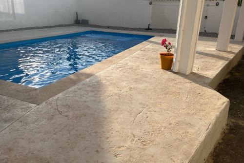 Ales Apartment | Le Clos de l'Olivier