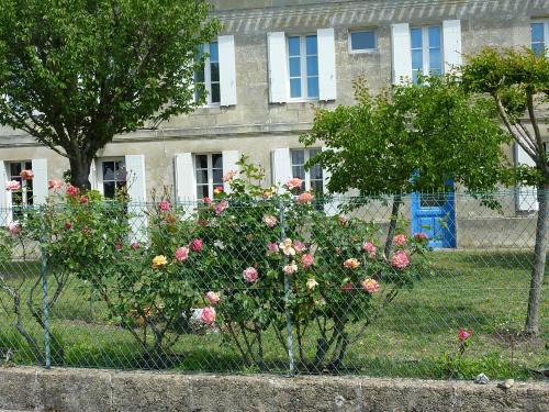 Saint-Emilion Bed & Breakfast | Le Clos des Rosiers