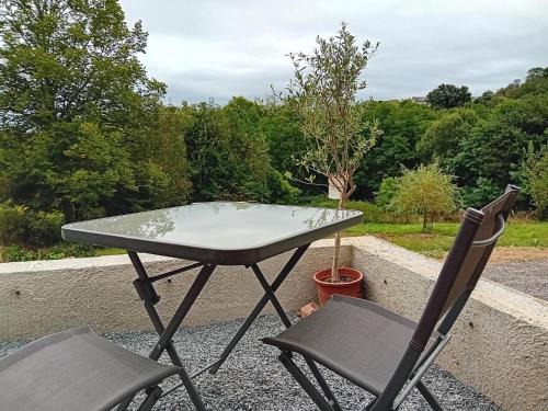 Brive-la-Gaillarde Apartment | Le Forestier - 1 Pièce