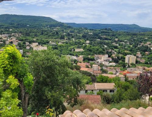 Apt House | Le jardin des oliviers