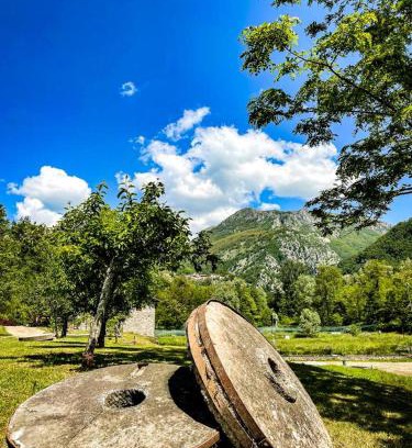 Villa Collemandina House | Le Macine